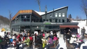 The Green White Cafe Bistro: Dört Mevsimin Buluşma Noktası