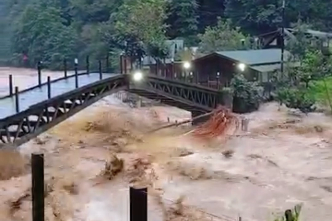 Artvin sele teslim oldu, 7 köye ulaşılamıyor