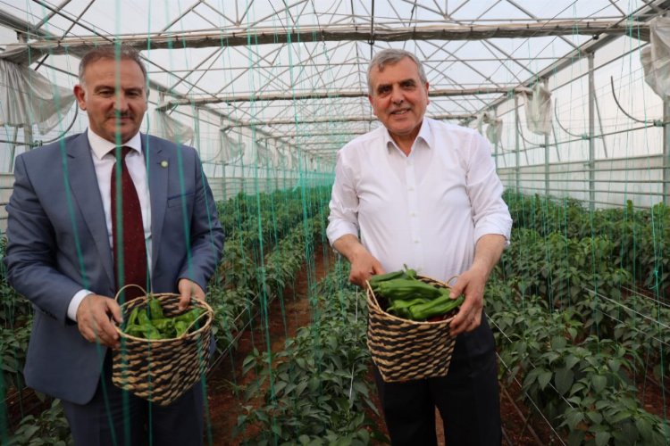 Şanlıurfa Büyükşehir Belediyesi, kentin marka değeri olan Ata Tohumu ile