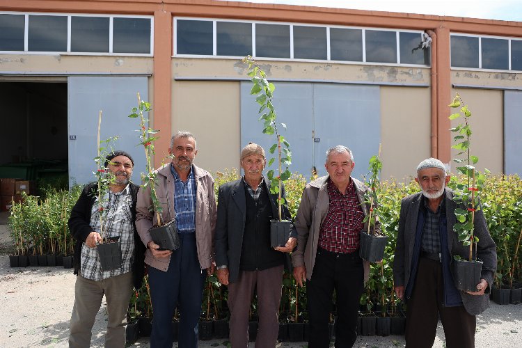 Konya Büyükşehir Belediyesi, son olarak badem, kayısı, kekik, adaçayı ve