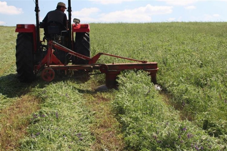 Denizli Büyükşehir Belediyesi, 16 ilçede 1.330 çiftçiye 133 ton Macar