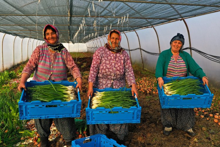 Kocaeli Büyükşehir Belediyesi, kaliteli mahsul ve yüksek verim elde edilmesi