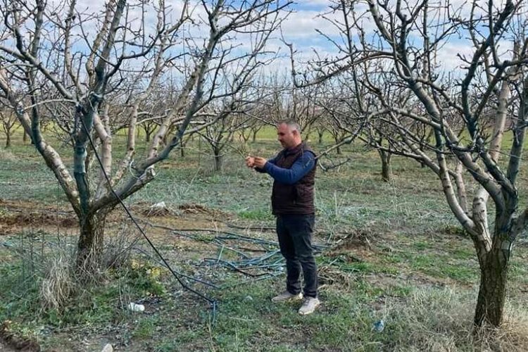 Devlet destekli tarım sigortalarında toplam sigorta bedeli yüzde 115,5 oranında