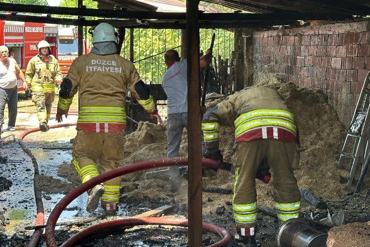 Düzce’de Otluoğlu Köyü’ndeki ahırda çıkan yangında 5 büyükbaş hayvandan 2’si