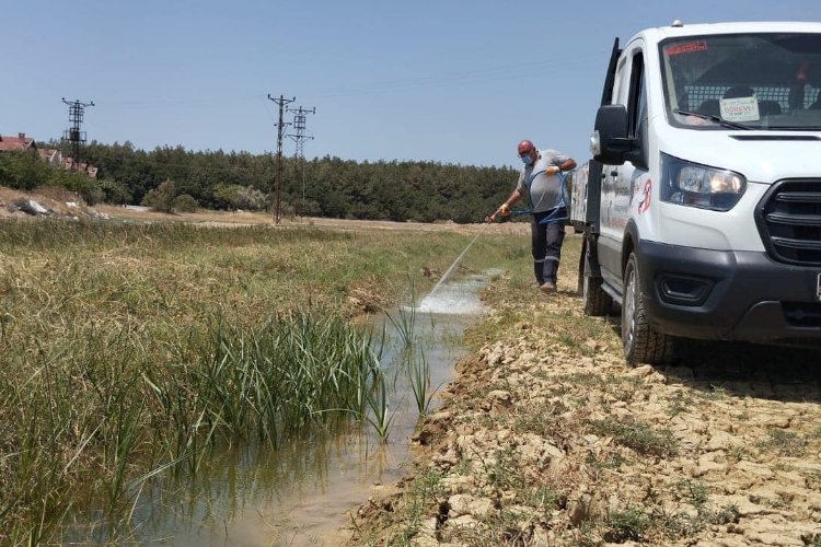 Kelan Beldediyesi yürütülen larvasit ile mücadele çalışmalarına ilişkin sosyal medya