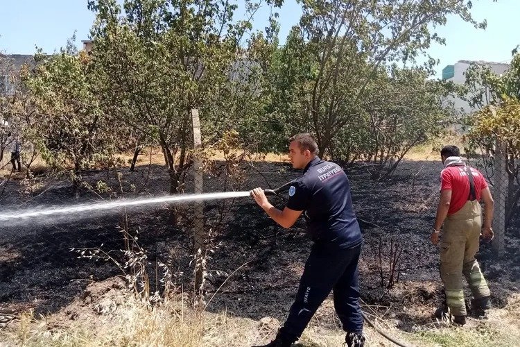 Bursa’nın Nilüfer ilçesine bağlı Yolçatı Mahallesi’nde makilik alanda başlayan yangın,