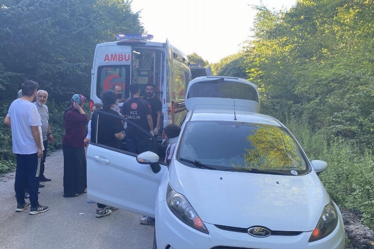 Düzce’nin Yığılca ilçesine bağlı Geriş Köyü’nde patpat kazası meydana geldi.