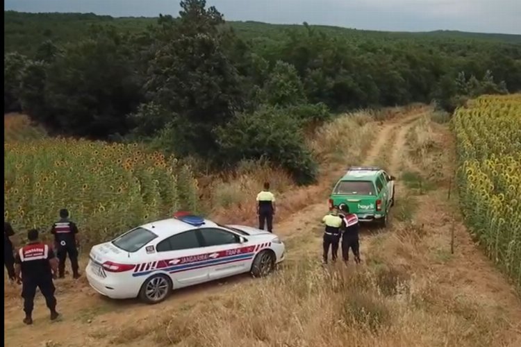 Edirne İl Jandarma Komutanlığı, orman yangınlarıyla mücadele kapsamında Keşan ilçesinde