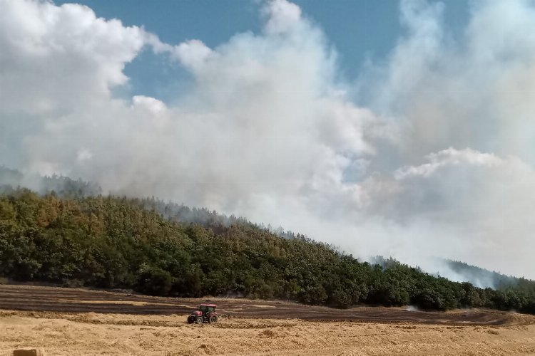 Yangına hassas hava şartları devam ederken Keşan Orman Müdürü Ertunç Can