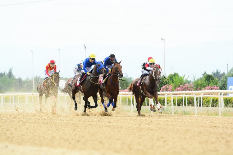 Türkiye Spor Yazarları Derneği