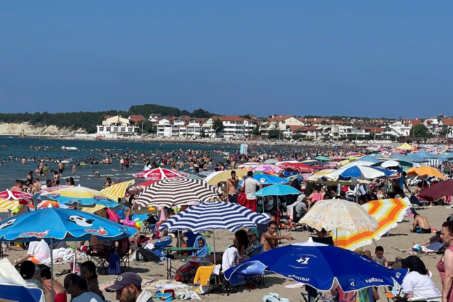 Kocaeli Büyükşehir Belediyesi’ne bağlı KOSKEM ekipleri geçtiğimiz hafta sahillerde 163