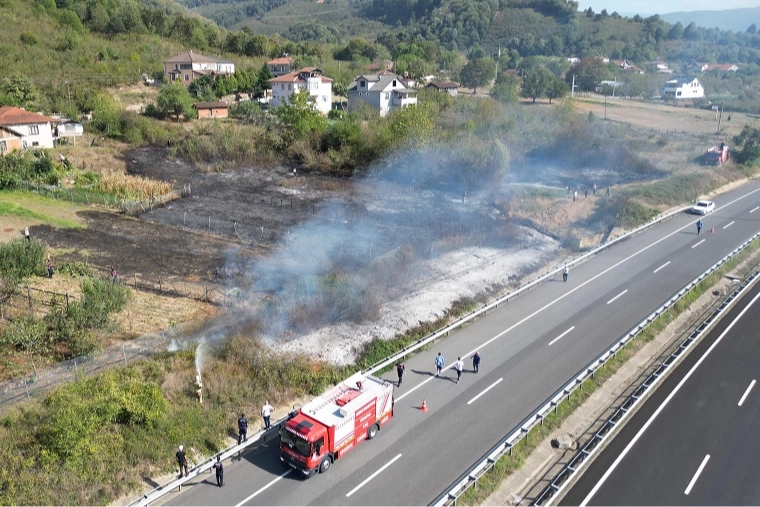 Düzce Kuzey Çevre yolu Muncurlu Köyü mevkiinde fındık ağaçları bulunan