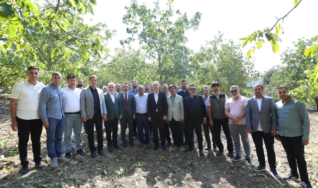 Tarım şehri İnegöl’de ceviz hasadı başladı. Ceviz yetiştiriciliğinde son 10