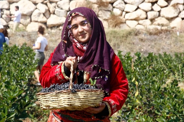 Antalya Büyükşehir Belediyesi’nin teşvik