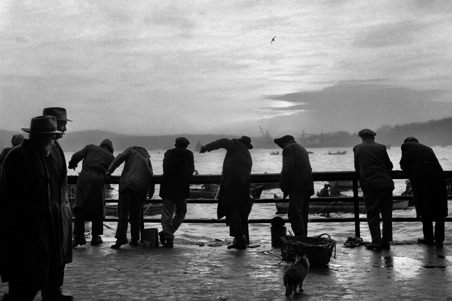 Ara Güler’in henüz 18 yaşındayken kaleme aldığı “İstanbul’da Sabah” yazısından