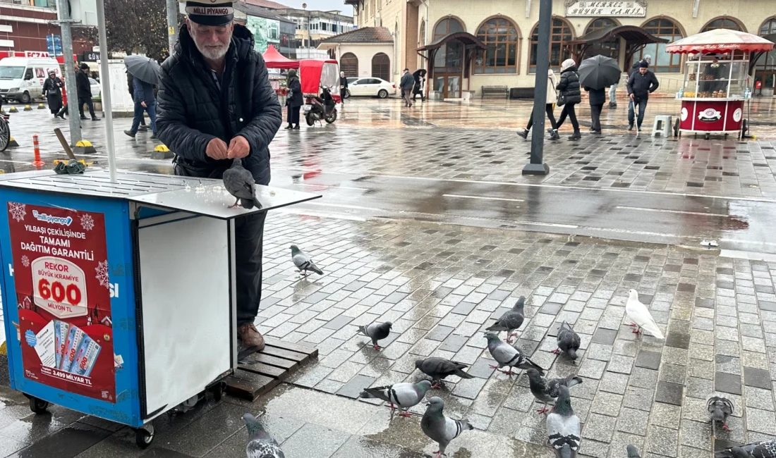 Düzce’de bir seyyar ‘talih kuşu’ bayii güvercinleri kendi elleriyle besledi.