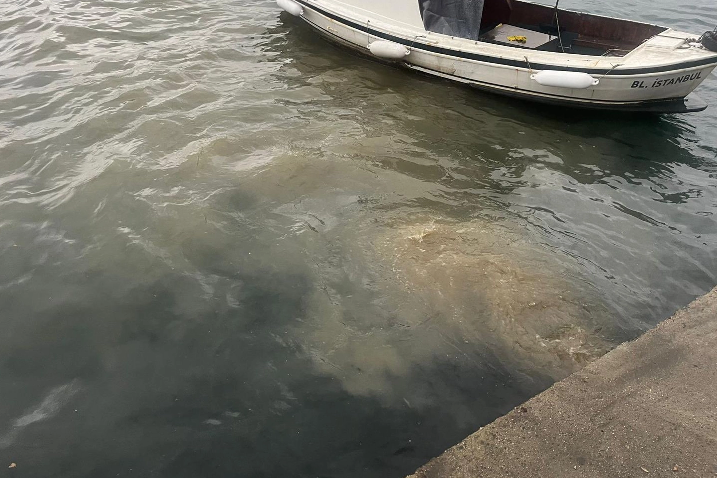 Çevre, Şehircilik ve İklim Değişikliği Bakanlığı, İstanbul Üsküdar’daki Kuleli Askeri