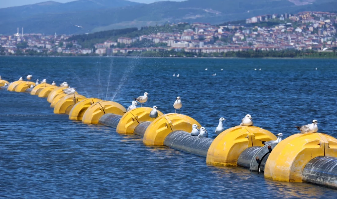 Ölme tehlikesi ile karşı karşıya kalan Marmara Denizi’ni korumak için